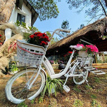 Vita Homestay Mang Den Kon Von Kla Ngoại thất bức ảnh